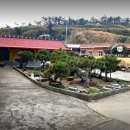 청벽거북 | 한국기행 우이도 민박집 가격 숟가락기행 섬 밥상집 우이도슈퍼민박 위치