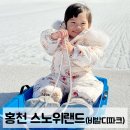 홍천자연랜드 | 홍천 비발티파크 아이랑 놀거리 | 39개월 아기랑 여행 | 스노위랜드 눈썰매 타고 온 후기