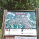 진틀1교 | 백운산(전남 광양)~백운산 등산코스, 진틀마을