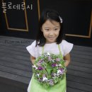 플로데루시