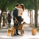 해피댕댕이 이미지