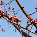 고실농장 이미지