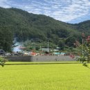플로라캠프 이미지