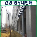 양우내안애작은도서관 이미지