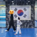 MNT 태권도 스포츠센터 이미지