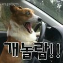 헐