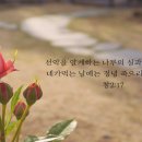 성구