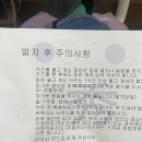울산 카페 기록(티티와이에스, 페즈, 호피폴라, 묵리 459), 사랑니 3개 발치 이슈, 키에레이 슬링백 후기
