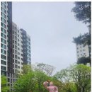 금터공인중개사사무소 이미지