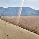 사방공인중개사사무소 이미지