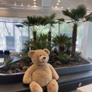 에이바우트커피 구미옥계점 이미지