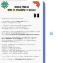 헤이클린 이미지