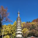 원조재첩국나루터식당 이미지