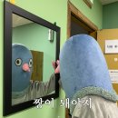 장작집 - 마포구 월드컵북로6길 19 | 장작집