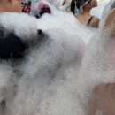 빌라쥬드 아난티 빌라동 | 빌라쥬드 아난티 스프링팰리스 수영장 정보 매점 후기