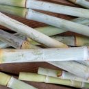 완도농장 이미지