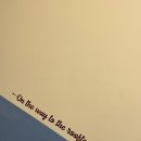 마이애미오렌지 이미지