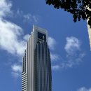 시골쥐의 호주 여행[골드코스트] - 3