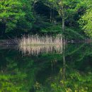 내리저수지 이미지