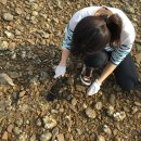 꽃지숙박 이미지