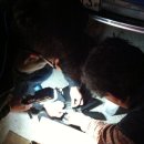 삼육세차장 이미지