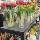 중산한의원 이미지