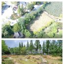 갈대정원 이미지