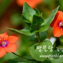 오늘은 음표 이미지