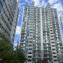 사파동350 이미지