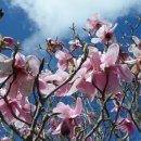 길목가든 이미지