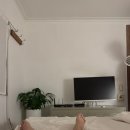 지리산농업협동조합 | 산청 여행 || 내돈내산 감성 숙소 ‘지리산 힐링 펜션’ 솔직후기