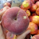 풍년슈퍼과일 이미지