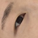 오티모부띠끄