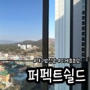 퍼펙트쉴드대구 | 대구방충망 퍼펙트쉴드 입주아파트 미세살균 방진망 교체 후기 아기있는집 필수네