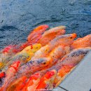 수산과학관(실외) 이미지