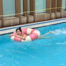 VIP휘트니스센터 세경점 | 강남 수영장 호텔, 그라모스 호텔 수영장 이용후기, 서울 가성비 호텔 추천 HOTEL GRAMMOS