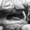 기장i동물의료센터 이미지