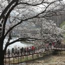 김제검산초등학교 | 2026 꽃빛드리 축제 실시간 행사 정보