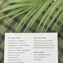 눈썹을그리다 이미지