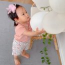 플라플라 이미지