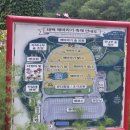 썬팜에너지 영농조합법인 | 강원도 태백 가볼 만한 곳 태백 구와우마을 해바라기 축제 후기