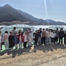 성남초등학교 옆 네이버블로그