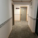 토요코인 대전정부청사앞 | 토요코인 호텔 대전 정부청사 앞 조식 시간 가격