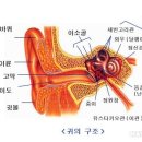 서울난청센타 이미지