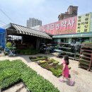 한일종묘농약사 이미지