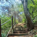 뿌리공원 둘레길 이미지