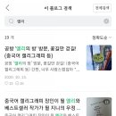 처음 만나는 캘리그라피 이미지