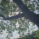 천경대3 이미지