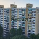 압구정-205 이미지