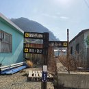 지천생태공원 | 외연도...한 번에 성공